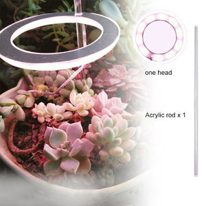 Angel Lamp - Lámparas de cultivo Kiora ™ para plantas de interior