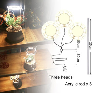 Angel Lamp - Lámparas de cultivo Kiora ™ para plantas de interior